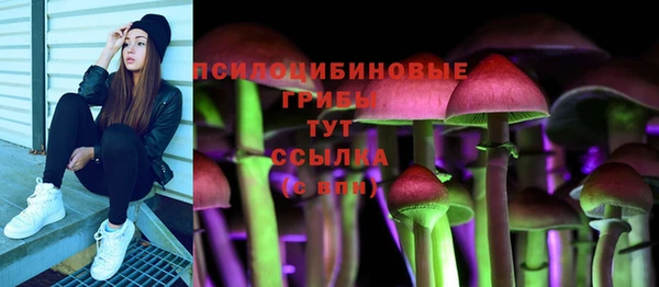 амф Заволжск