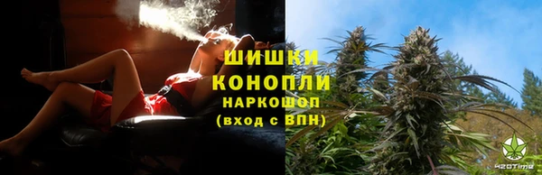 ГАЛЛЮЦИНОГЕННЫЕ ГРИБЫ Заводоуковск
