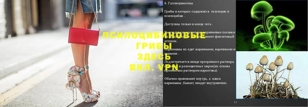 ГАЛЛЮЦИНОГЕННЫЕ ГРИБЫ Заводоуковск