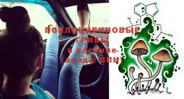 соль ск Заволжье