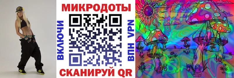 Купить  Кашира  Псилоцибиновые грибы MAGIC MUSHROOMS 